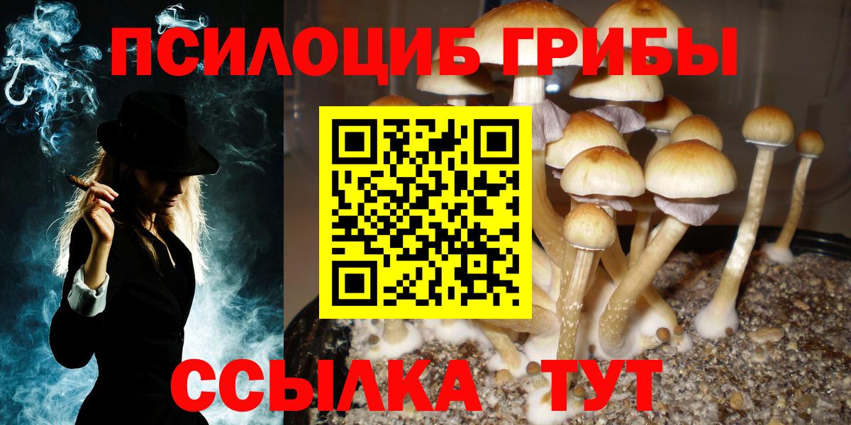 Псилоцибиновые грибы Cubensis Губаха