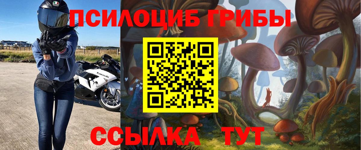 Губаха  Псилоцибиновые грибы MAGIC MUSHROOMS  Галлюциногенные грибы Magic Shrooms  Вход с VPN 